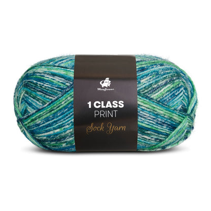 1. Class Print
