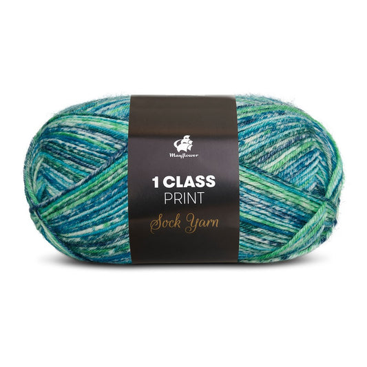 1. Class Print