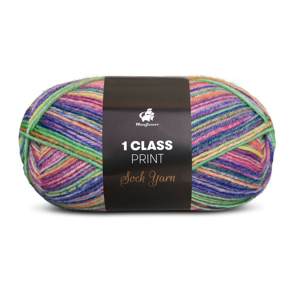 1. Class Print