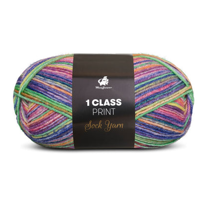 1. Class Print