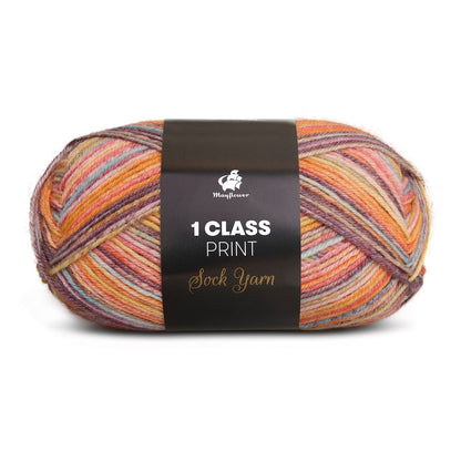 1. Class Print