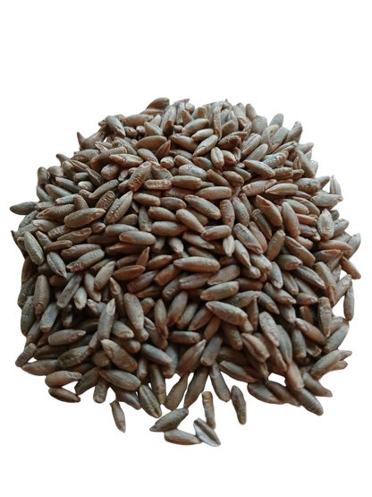 Petkus Vårrug Hele Kerner